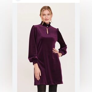 Tyler Boe Deep Purple Long Sleeve Dress EUC